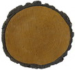nogi